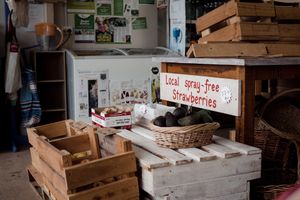 organic veggies at Raw Balance Raw Food Deli in Taupo