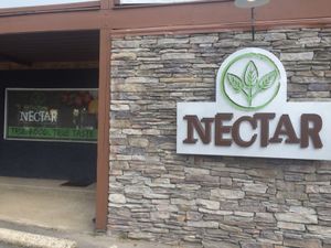 front at Nectar in Asheville