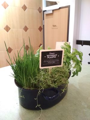 Cool-looking interior element: herbs in a pot with a message about the compostable packaging used in the restaurant :) at Swing Kitchen - Operngasse in Vienna