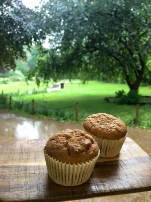 Vegan Carrot Cake Muffins at Ginger Jules Kiosk in London