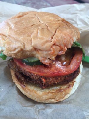 Fried seitan Buffalo style at Gnome Cafe in Charleston