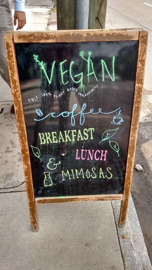 Great place! at Gnome Cafe in Charleston