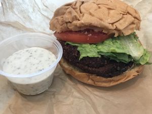Fried Chick’n- Seitan sandwich with ranch  at Gnome Cafe in Charleston