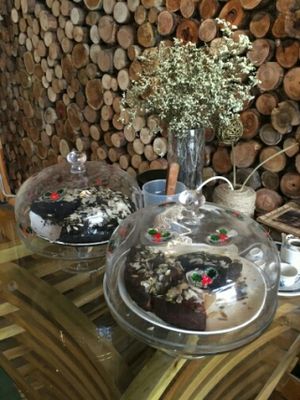 cakes! at Jalus Vegan Kitchen in Hanoi