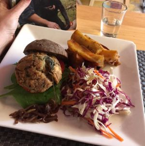 Jalus at Jalus Vegan Kitchen in Hanoi