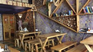 cute interior...but the plants are all dead. at Jalus Vegan Kitchen in Hanoi