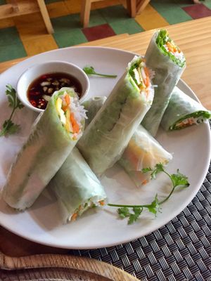Fresh spring rolls were very dry outside but was good with the sauce.  at Jalus Vegan Kitchen in Hanoi