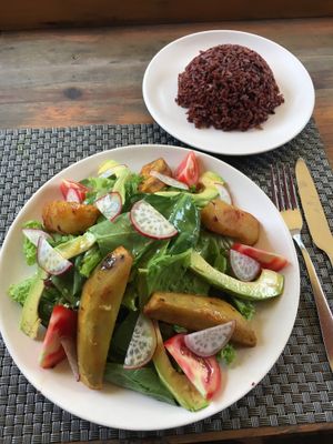 Jalus salad +  red rice  at Jalus Vegan Kitchen in Hanoi
