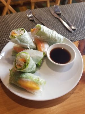 Spring rolls at Jalus Vegan Kitchen in Hanoi