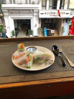 Summer roll at Jalus Vegan Kitchen in Hanoi