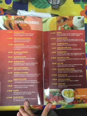 Specialties/mains --- especialidades at Golden Yo Light in Queretaro