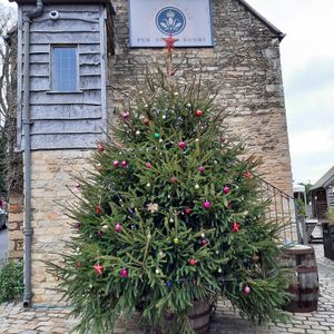 Exterior Christmas tree at The Royal Oak in Tetbury