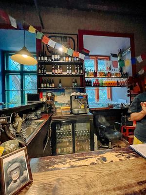 Indoor   at Bonobo in Krakow