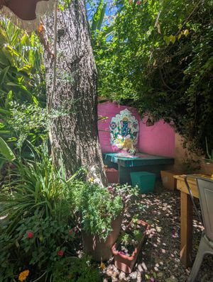 Afuera #Veganuary at La Cocina de Daksha in Tigre