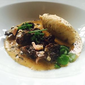 Morchella y piñones, sur de chile. at Vegan Bueras in Santiago