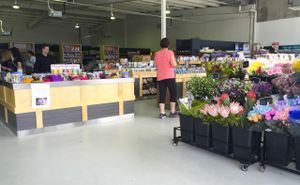 Interior at Wholefood Merchants in Ferntree Gully