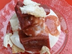 rhubarb pavlova at Mildreds - Camden in North West London