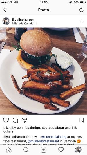 Classic lentil burger and sweet potato fries at Mildreds - Camden in North West London