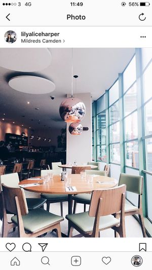 Camden interior at Mildreds - Camden in North West London