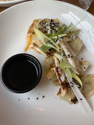 Gyoza at Mildreds - Camden in North West London