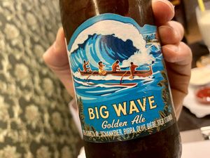 beer from hawaii 🍻 at Space Burger in Dusseldorf