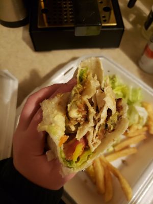 falafel wrap with hummus, tomato, pickled veg, delicious falafel. served with fries and salad at Anatolia in Bloomington