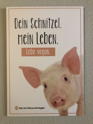 Go vegan! at Lima Limon in Bremgarten