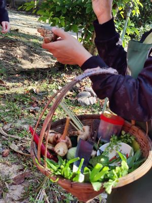  at Thai Farm Cooking School in Chiang Mai