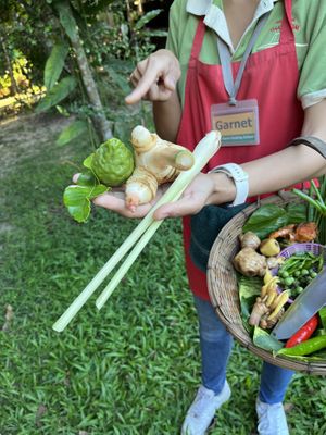 Tom yum herbs  at Thai Farm Cooking School in Chiang Mai