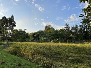   at Thai Farm Cooking School in Chiang Mai