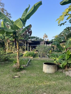 Cute farm space   at Thai Farm Cooking School in Chiang Mai