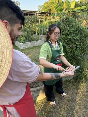   at Thai Farm Cooking School in Chiang Mai