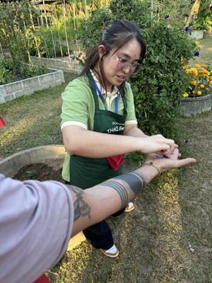  at Thai Farm Cooking School in Chiang Mai
