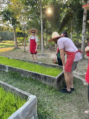   at Thai Farm Cooking School in Chiang Mai
