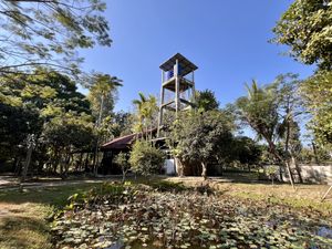 Kitchen set in the garden   at Thai Farm Cooking School in Chiang Mai