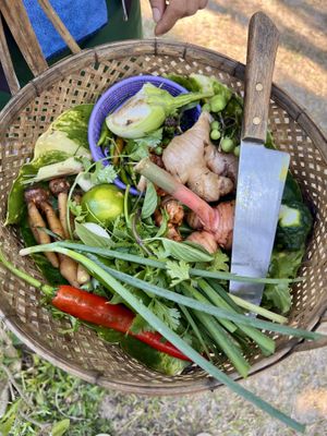 Learning about the different ingredients   at Thai Farm Cooking School in Chiang Mai