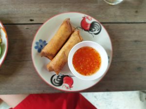 Spring rolls at Thai Farm Cooking School in Chiang Mai