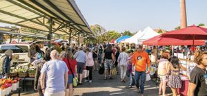 Bustling. at Bloomington Community Farmer's Market in Bloomington