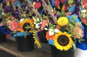 Beautiful. at Bloomington Community Farmer's Market in Bloomington