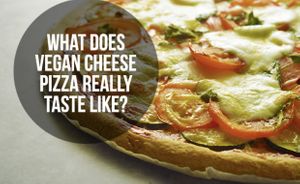 Vegan cheese! Delicious... at Bucceto's in Bloomington