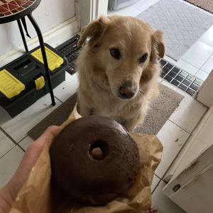Lu tries to guilt me into sharing... at Hopscotch Coffee in Bloomington