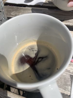 Americano  at Against the Grain in Lyon