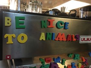 Seen in the downtown store... at Soma in Bloomington