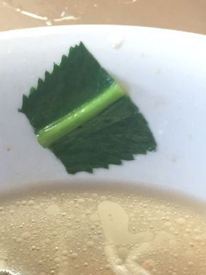 Culantro--the sign of a very authentic vietnamese restaurant. at Dharma Garden Veggie Deli in Vancouver