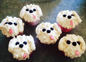 Cute cupcakes at OMV Bakery in Reservoir