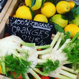 Organic local farm fresh food at OWL Organic Market in San Pedro De Alcantara