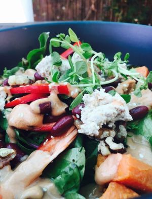 Festival of Colour Buddha Bowl at Diggers Vegie Kitchen in Anglesea