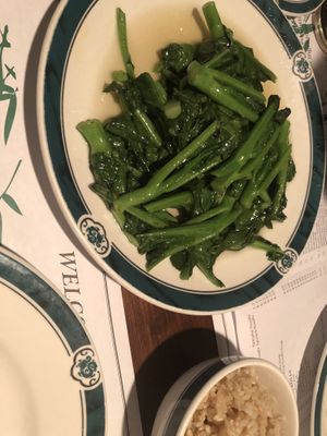 Chinese broccoli 唐芥蘭 with white sauce   at Veggie Heaven in Montclair