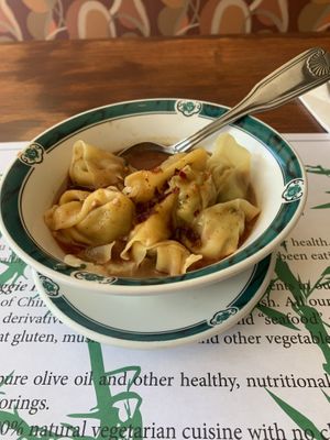 Hunan dumplings - very nice!  at Veggie Heaven in Montclair