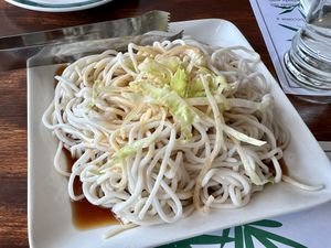 Cold sesame noodles  at Veggie Heaven in Montclair